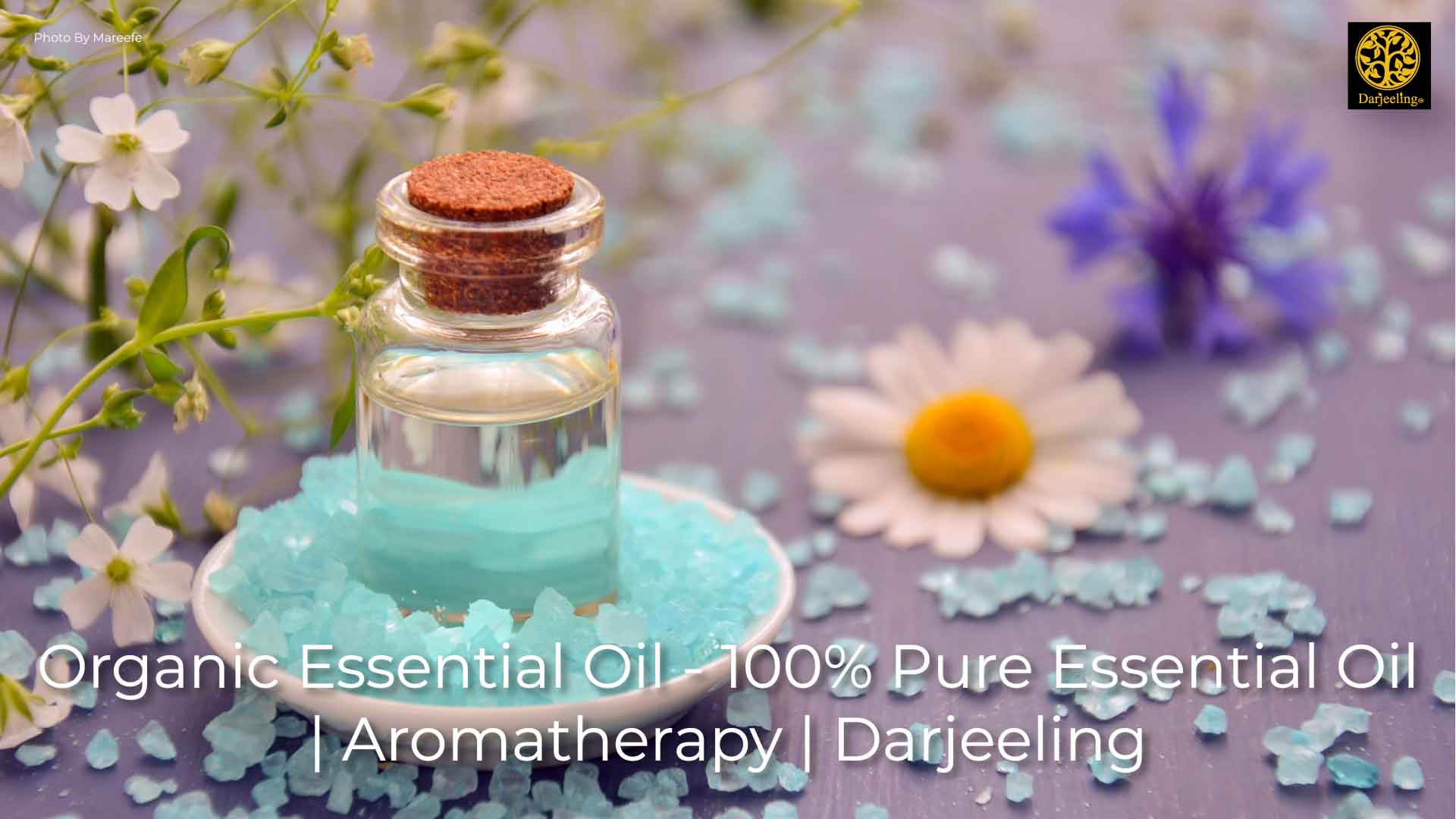 Organic Essential Oil - 100% Pure Essential Oil - Aromatherapy - Darjeeling