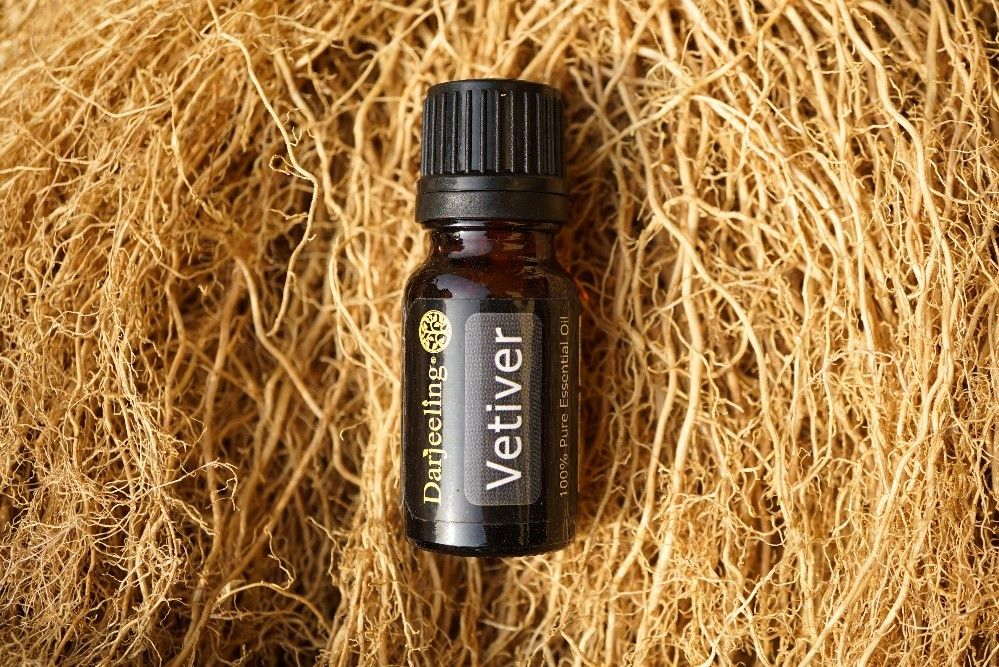 Darjeeling Aromatherapy - Vetiver - 100% Pure Essential Oil