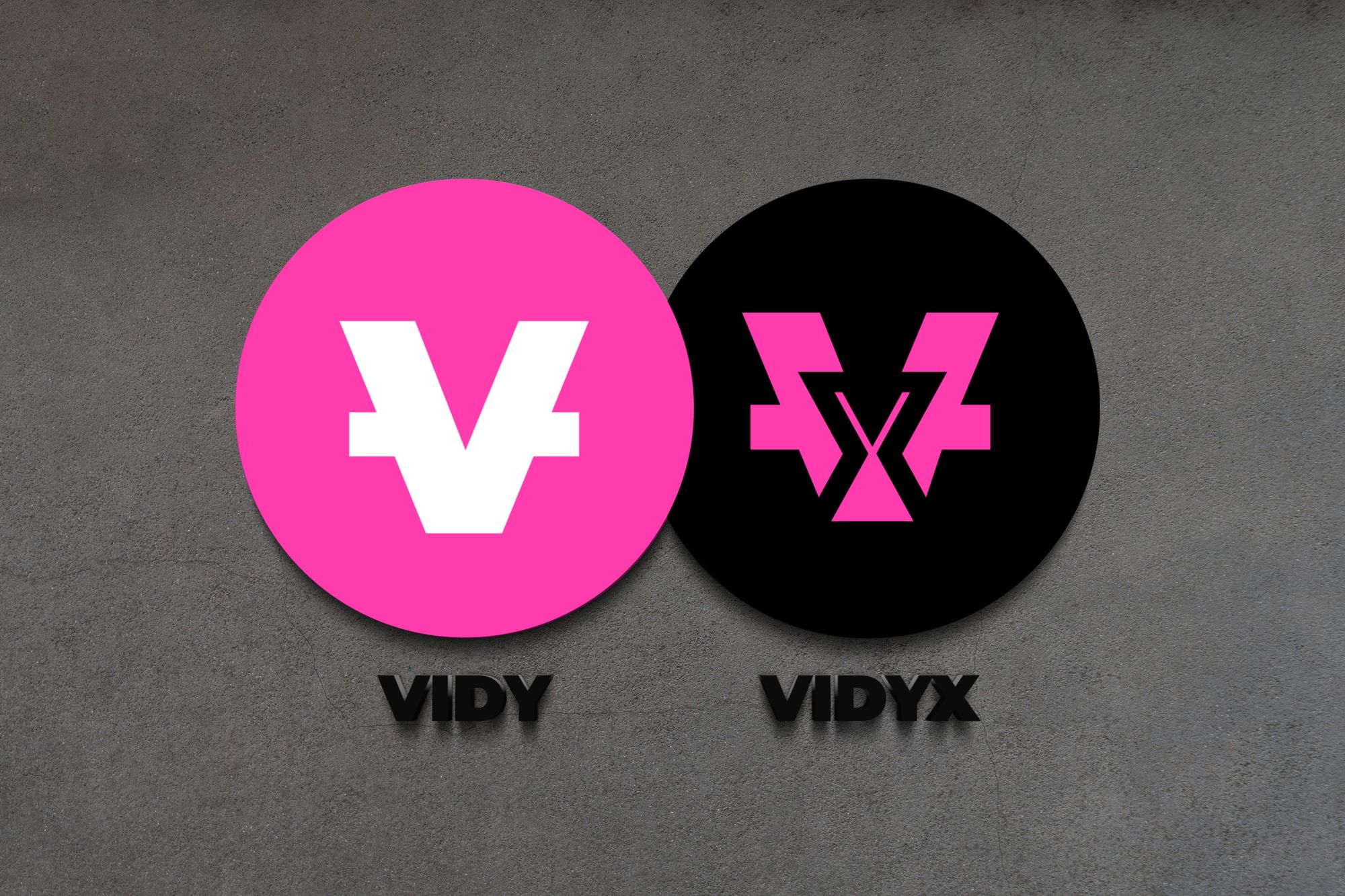 Top Best Crypto Projects to Invest - VIDYX VIDY